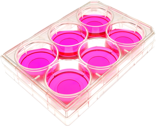 ガラスボトムディッシュ【MatTek】 製品詳細│医療、食品、環境分野の